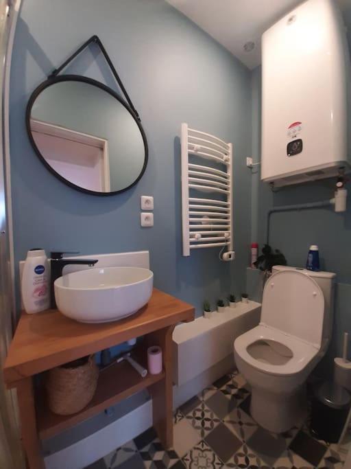 Apartment Centre Compans Caffarelli Superbe Toulouse
